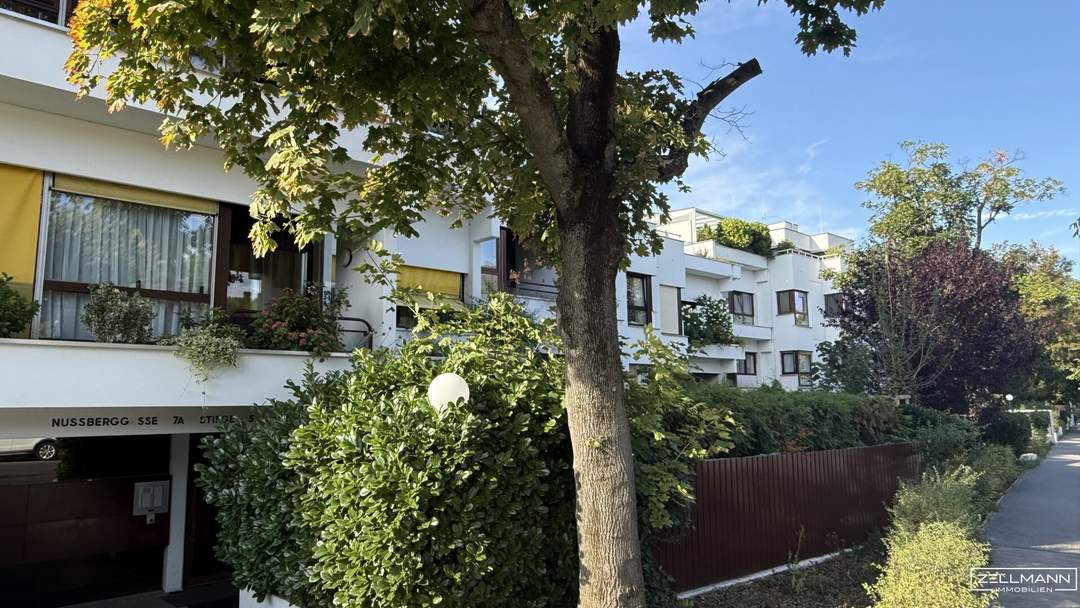4 Zimmer, 135 m² WFL., Terrasse und XXL Garagenplatz: Ihr Zuhause direkt am Nussberg | ZELLMANN IMMOBILIEN