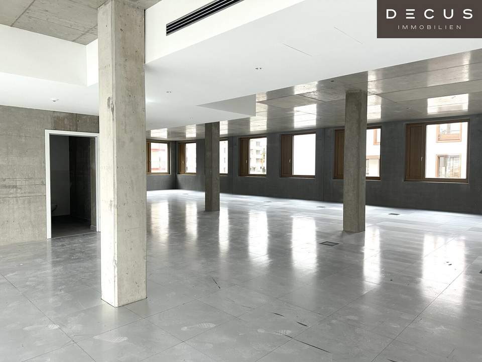 | INDUSTRIE STYLE | FABRIK 1230 | Büro-/Ordinations-/Geschäftsflächen