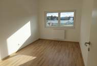 Doppelhaushälfte in Neumarkt an der Ybbs Typ C1