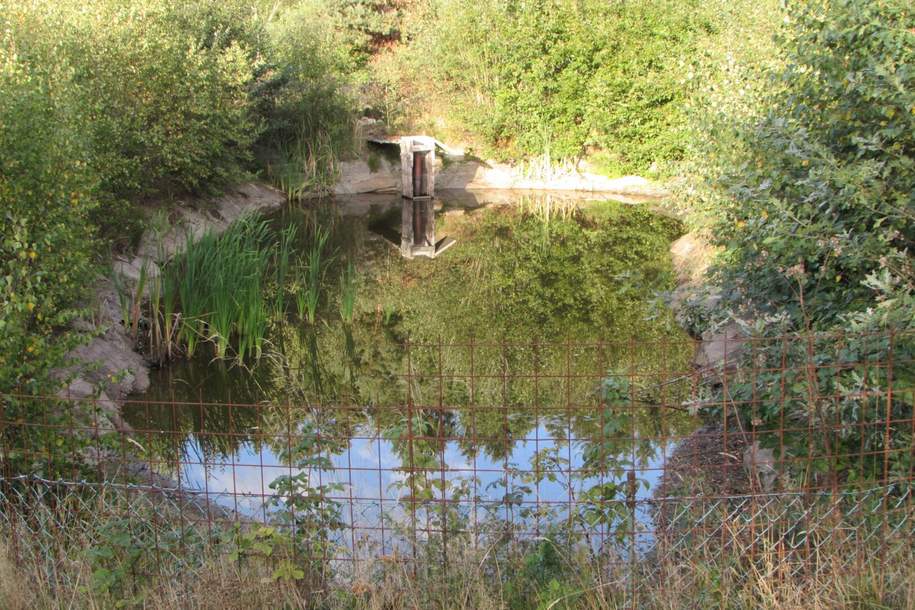 *****3 kleine Fischteiche im Waldviertel*****, Grund und Boden-kauf, 73.000,€, 3863 Gmünd