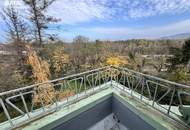 Martinsviertel 1490m² zum Sonderpreis