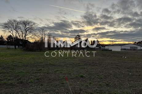 Schlüsselfertig zum belagsfertigen Preis! Großzügiges Familiendomizil direkt am Nationalpark, Haus-kauf, 423.054,€, 2301 Gänserndorf