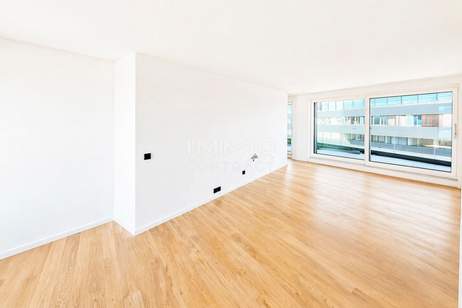 8. Stock mit Garten und Terrasse - Provisionsfrei direkt beim Hauptbahnhof: Die geilste Wohnung der Stadt:, Wohnung-kauf, 340.000,€, 1100 Wien 10., Favoriten