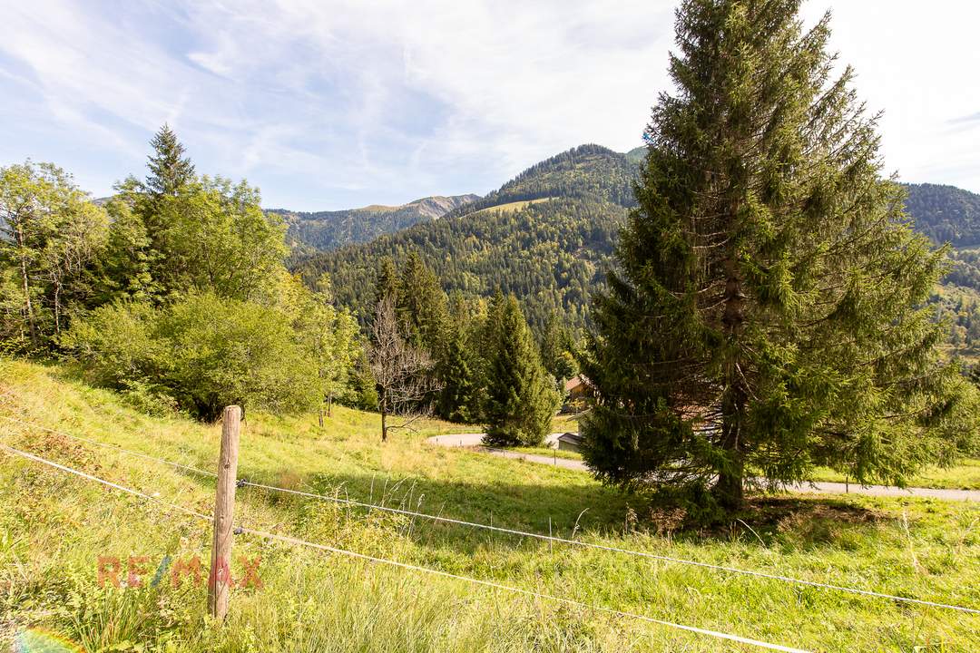 Ankommen und Ausspannen auf 950 m² Naturglück