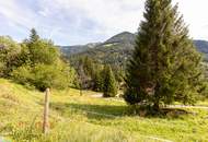 Ankommen und Ausspannen auf 950 m² Naturglück