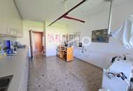 Büro/ Ordination in Oberwart - zentrale Lage mit Parkplätzen - Graf Erdödistraße 24a