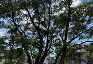 Moderne 3-Zimmer-Wohnung mit bewilligtem Balkon im Herzen des 9. Bezirks