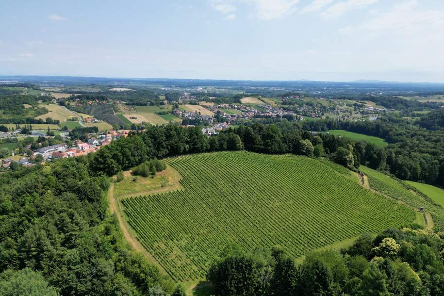 IHRE EIGENEN CHALETS! TRAUMHAFTES GRUNDSTÜCK AN DER SÜDSTEIRISCHEN WEINSTRASSE! Ein Ausblick der Ihnen die Sprache verschlagen wird - im schönsten Teil der grünen Steiermark., Grund und Boden-kauf, 1.400.000,€, 8462 Leibnitz