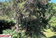 Natur und Ruhe im 19. Bezirk: 5 Zimmerwohnung mit Garten und herrlichem Grünblick