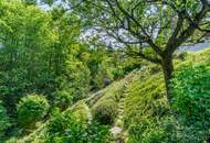 Ruhelage! Grundstück mit Altbestand und Blick auf den Wald