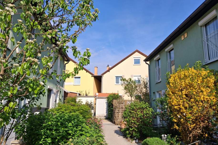 Wunderschönes Reihenhaus am Ende einer Sackgasse in den Weingärten unterhalb des Anningers., Haus-kauf, 450.000,€, 2353 Mödling