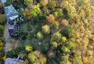 TOPLAGE baugenehmigtes Wohnbauprojekt für 5 Familienhäuser in außergewöhnlicher Villen-Waldrandlage I Rundum Natur pur!