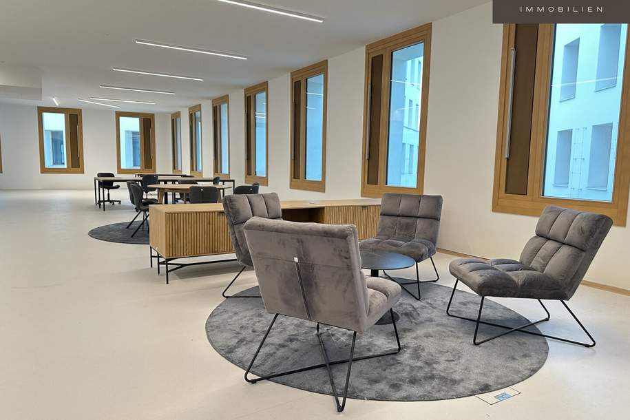 + + + ROBIN + + + Haus B + + + Inspired by Nature + + + Dachterrasse + + +, Gewerbeobjekt-miete, 2.204,00,€, 1220 Wien 22., Donaustadt