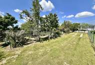 Einfamilienhaus in Schönkirchen-Reyersdorf: Neuer Preis 230.000€, Baugrund – Ihr neues Zuhause!