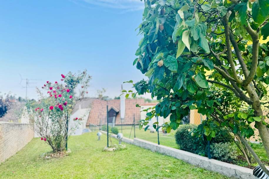 "Schnell sein lohnt sich – Haus zum Wohnungspreis in Ernstbrunn!", Haus-kauf, 159.000,€, 2115 Korneuburg