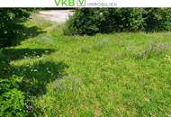 Naturverbunden wohnen – Baugrundstück mit Lebensqualität in Eidenberg