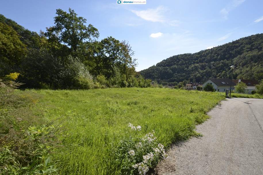 Wunderschönes Baugrundstück in Senftenberg bei Krems an der Donau - bereits aufgeschlossen - kein Bauzwang, Grund und Boden-kauf, 164.900,€, 3541 Krems(Land)