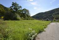 Wunderschönes Baugrundstück in Senftenberg bei Krems an der Donau - bereits aufgeschlossen - kein Bauzwang