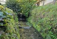 Ein Juwel, ein Sacherl des 18. Jahrhunderts – Historisches Anwesen mit modernem Wohntraum und idyllischem Grundstück!