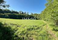 Erholung pur im eigenen Wald mit Bach und Wiesen nähe Amstetten