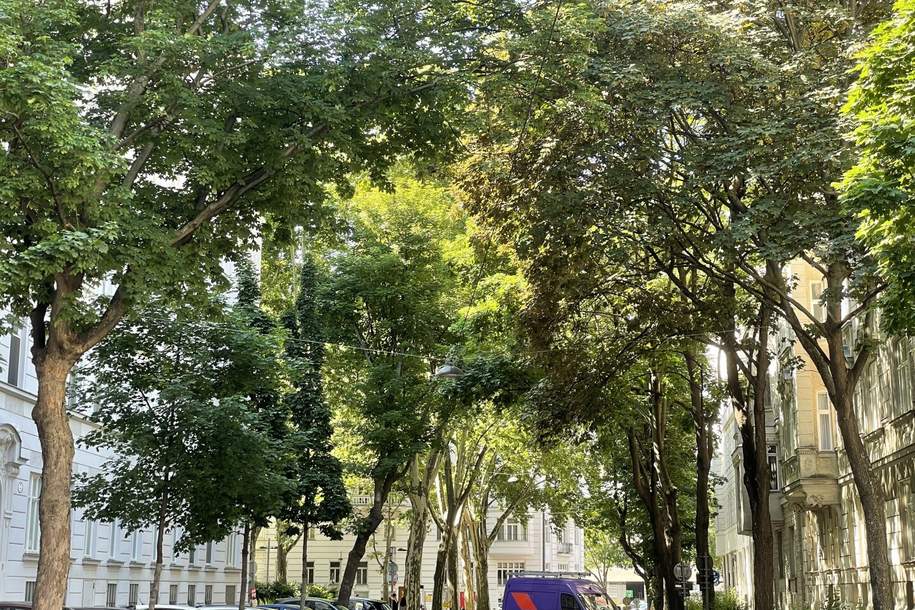 DIREKT am DONAUKANAL + FREIER BLICK + SCHÖNER ALTBAU + nahe Servitenviertel!, Wohnung-kauf, 470.000,€, 1090 Wien 9., Alsergrund