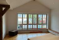 Traumhaftes ehemaliges Winzerhaus in Traiskirchen: 460m² Luxus - großzügiges Leben und Arbeiten unter einem Dach!