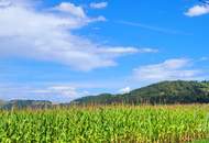 1428 m² vollerschlossenes Bauland in Großklein/Kleinklein - Perfekt für Ihr Eigenheim!