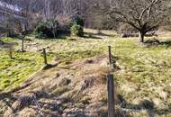 AN DER SONNENSEITE AM WALDRAND!