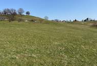 Schöner sonniger Baugrund im SÜDBURGENLAND
