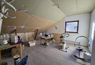 "Einfamilienhaus mit Potenzial und großem Garten – Theresienfeld "