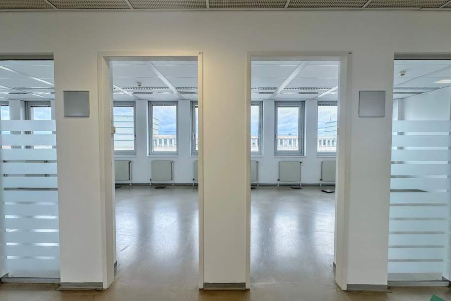 Hochwertige Bürofläche samt großzügiger Terrasse an der Brigittenauer Lände, Gewerbeobjekt-miete, 15.945,23,€, 1200 Wien 20., Brigittenau