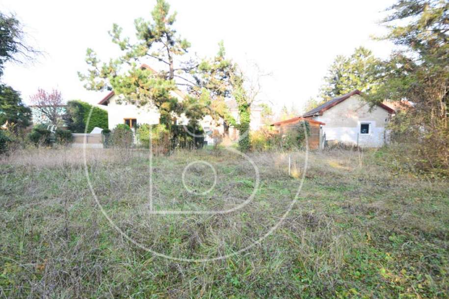 Drei nebeneinanderliegende Baugrundstücke mit Altbestandsgebäuden!, Grund und Boden-kauf, 1.199.000,€, 1220 Wien 22., Donaustadt