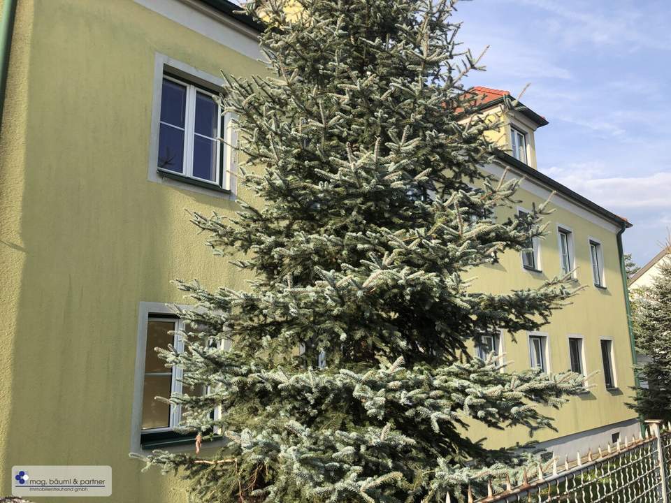 3 geräumige Zimmer, Küche mit Essplatz, Gartennutzung und PKW Stellplatz