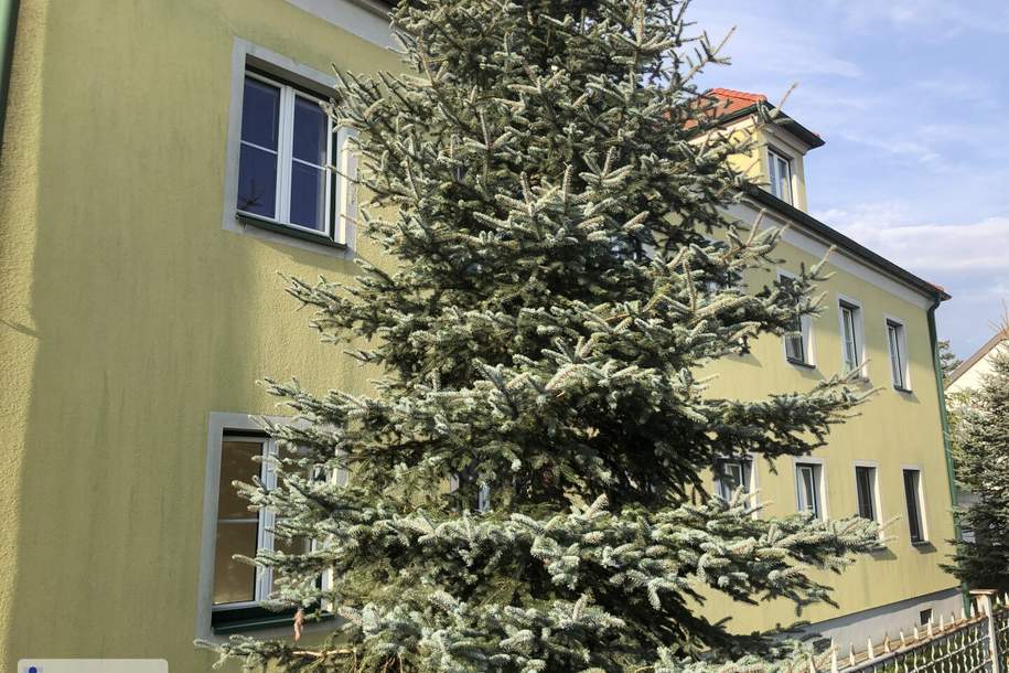 3 geräumige Zimmer, Küche mit Essplatz, Gartennutzung und PKW Stellplatz, Wohnung-miete, 865,00,€, 3200 Sankt Pölten(Land)