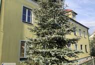 3 geräumige Zimmer, Küche mit Essplatz, Gartennutzung und PKW Stellplatz