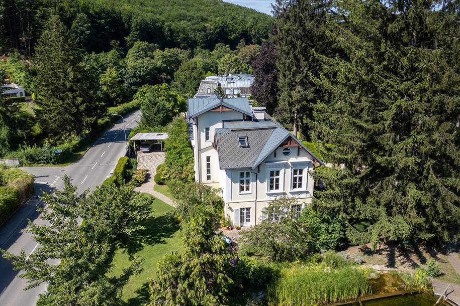 ***UNIKAT***VILLA WEIDLING***, Haus-kauf, 2.350.000,€, 3400 Tulln