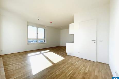 Ideales Investment mit Perspektive - Erzherzog-Karl-Straße!, Wohnung-kauf, 236.900,€, 1220 Wien 22., Donaustadt