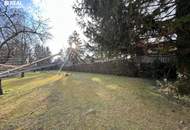 Traumhaftes Baugrundstück - 1.700 m² für Ihr individuelles Wohnprojekt!