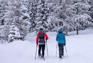 Einzigartiger Preis nur kurze Zeit- 8 neuwertige Bergchalets auf der Hochrindl - Top Qualität - Panoramablick! Sofort beziehbar! Ski-Lift Nähe!