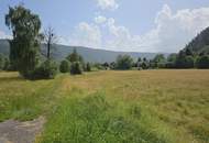 • Millstätter See | 4.989 m² Entwicklungsgrundstück für Tourismus & Wohnbau – Erweiterbar auf über 20.000 m²