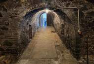 GRUNDSTÜCK MIT WEINKELLER