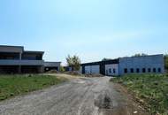 Attraktiver Betriebsstandort: Halle, Büro-/Wohngebäude und großes Grundstück mit Entwicklungspotential