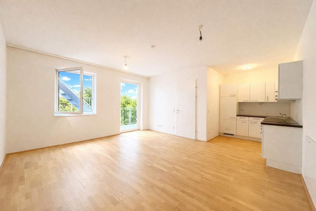 Büro / Praxis beim Karmelitermarkt mit großer Terrasse!!!