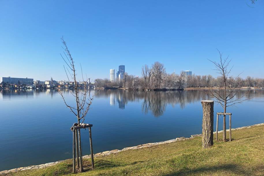 Wohnen am Wasser - Loftartiges Architektenhaus an der alten Donau, Haus-kauf, 1.090.000,€, 1220 Wien 22., Donaustadt