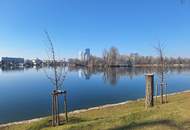 Wohnen am Wasser - Loftartiges Architektenhaus an der alten Donau