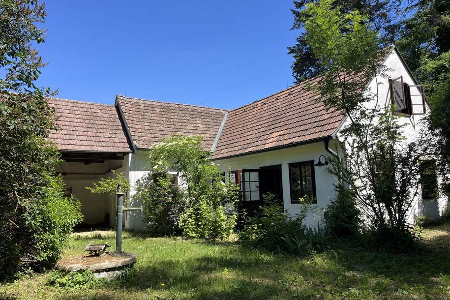 Historisches Anwesen mit unberührtem Waldparadies in Hanglage!, Haus-kauf, 295.000,€, 2114 Mistelbach