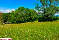 Sonnige Bauparzelle in Finkenstein 652 m² mit eigenem Zufahrtsweg in leichter Hanglage