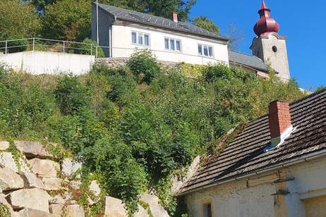 HISTORISCHER CHARME: BURGIDYLL - MODERNES DACH MIT ALTEN MAUERN IN MALERISCHER LANDSCHAFT, Haus-kauf, 38.000,€, 3830 Waidhofen an der Thaya