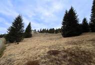 Einzigartiges Baugrundstück auf der Hochrindl – Naturidylle mit Panoramablick