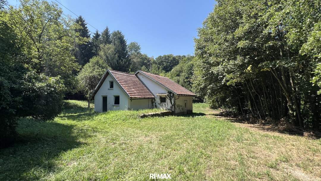 NATUR PUR - Wohnhaus in außergewöhnlicher Lage und großem Grundstück!